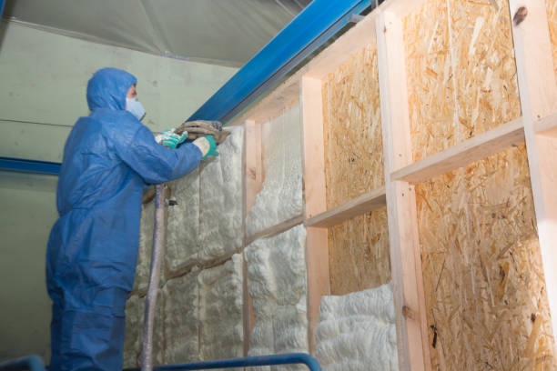 Best Local Insulation Services  in Napili Honokowai, HI