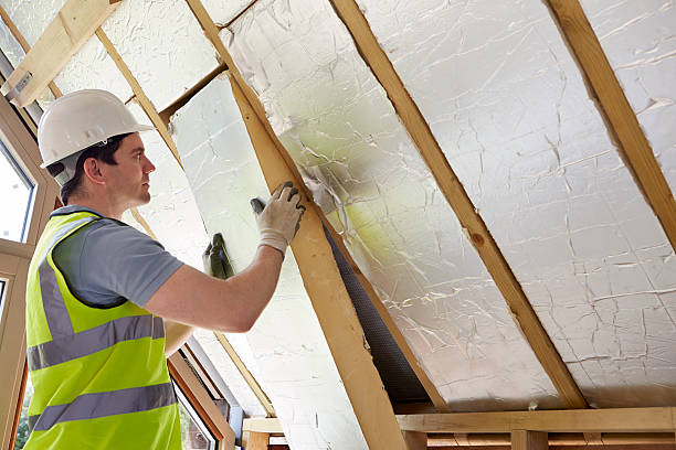 Attic Insulation Near Me in Napili Honokowai, HI